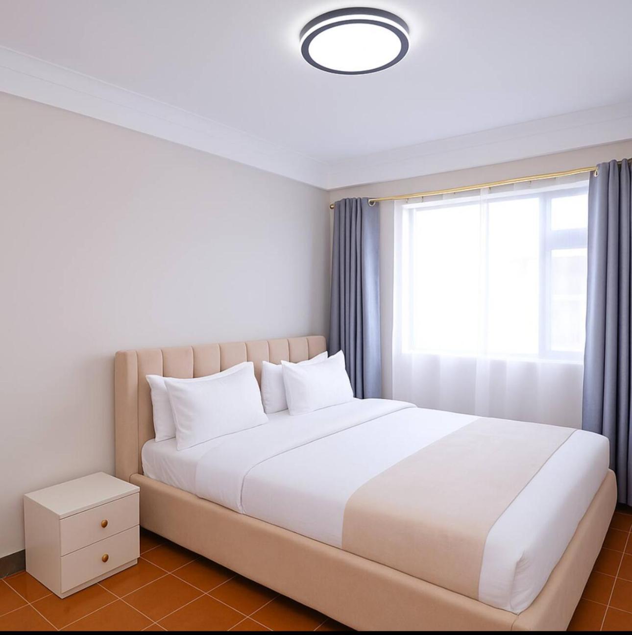 Apartment Executive 1br Penthouse Kilimani,free Parking, Near Cbd,wifi,netflix Nairobi