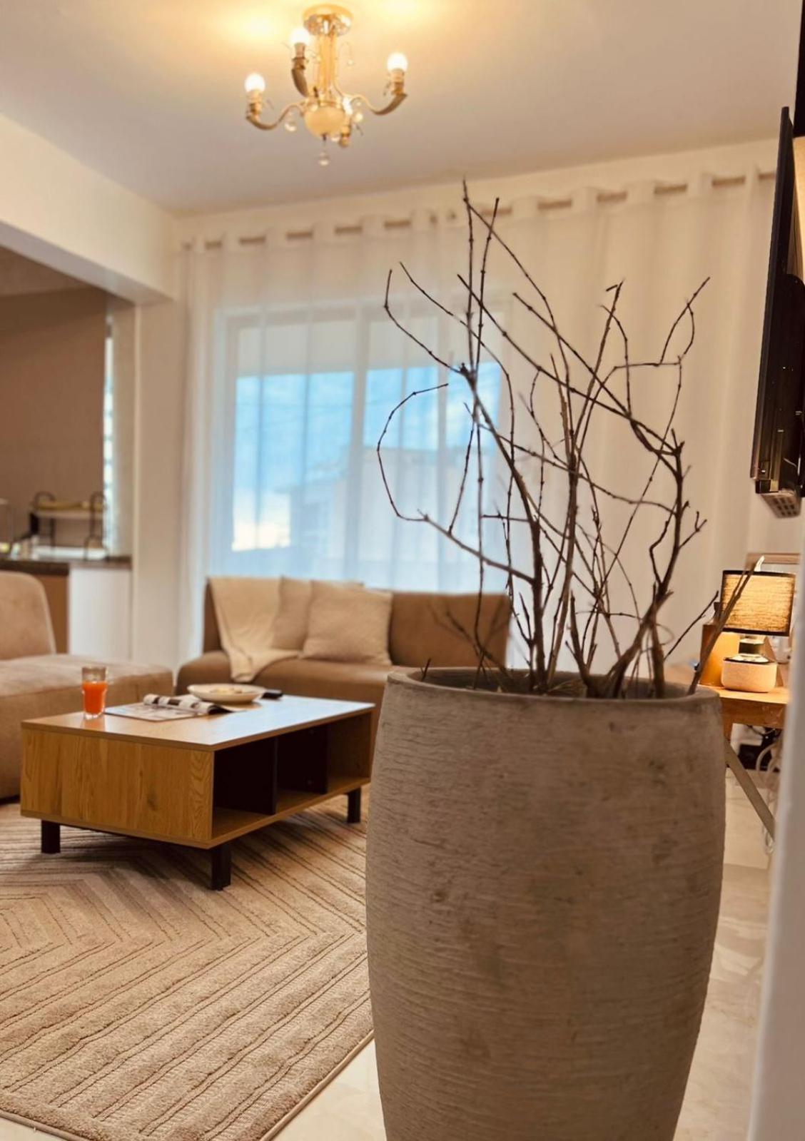 Wabi-sabi Inspired Minimalist In Kileleshwa