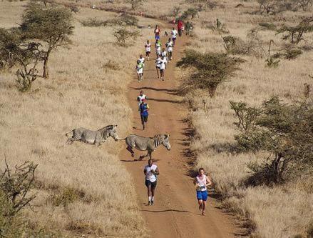 Campsite Rangelands Camp Nairobi