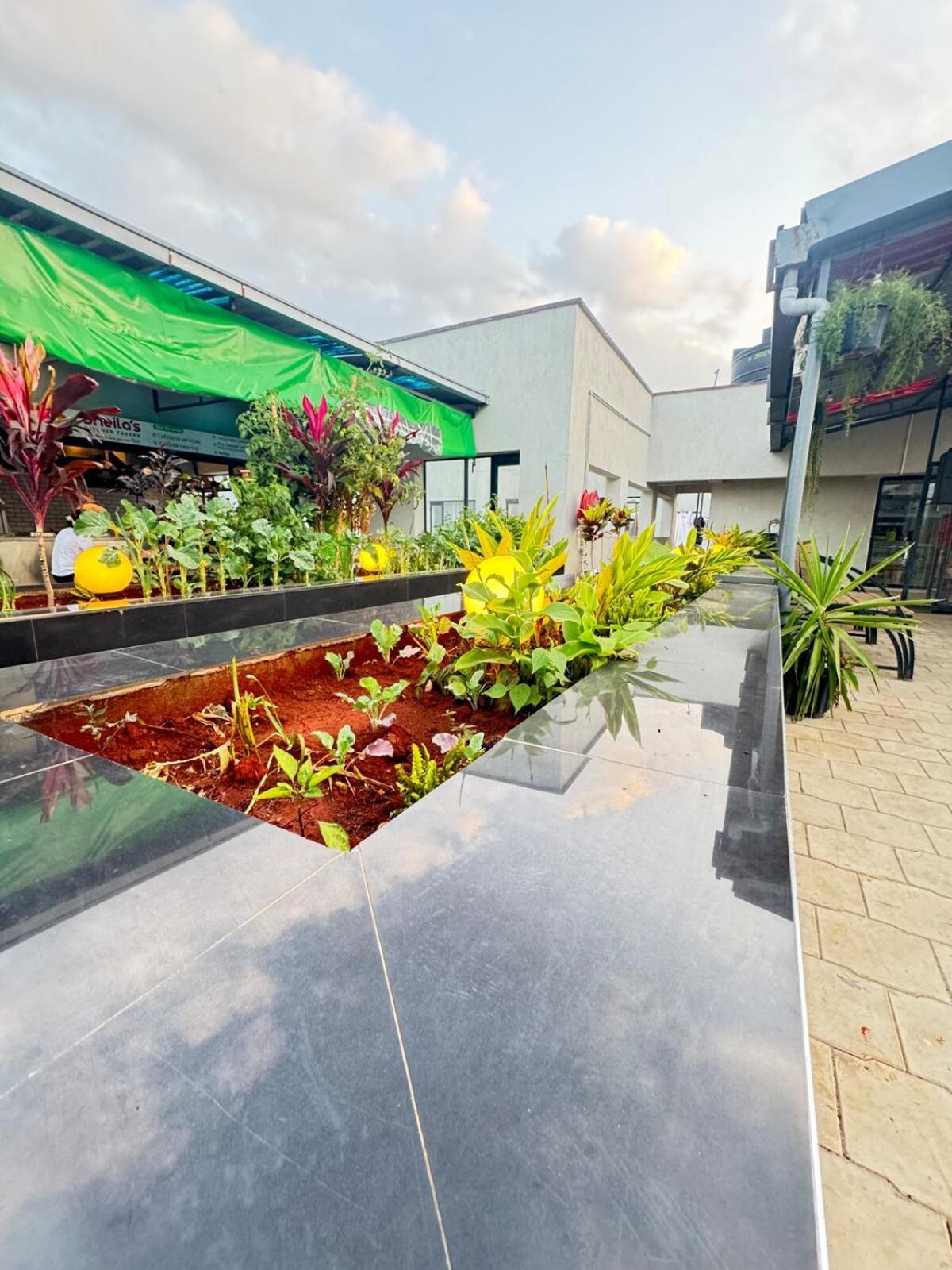 Apartment Dreamscape Near Jkia,sgr