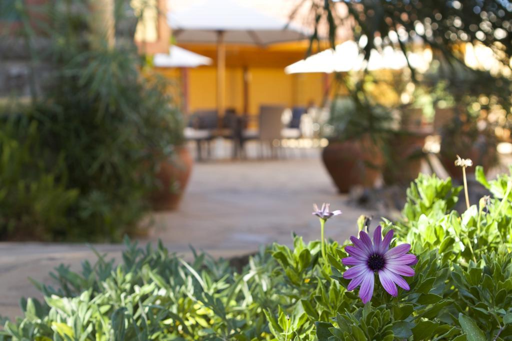 Hotel Osinkirri Kilimani 4*