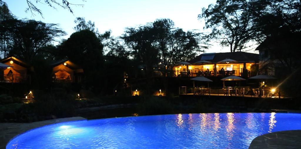 Wildebeest Eco Camp 3* Nairobi