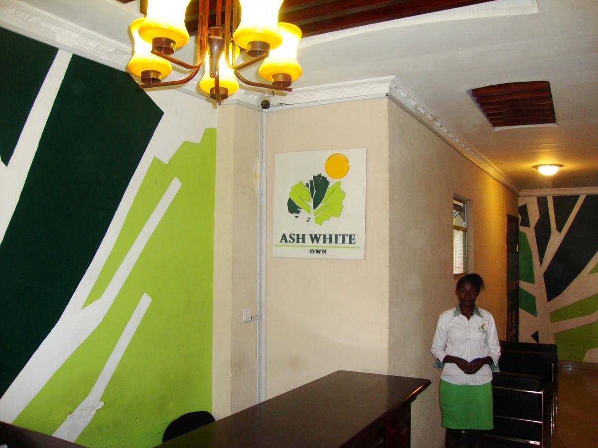 Hotel Ash White 2*