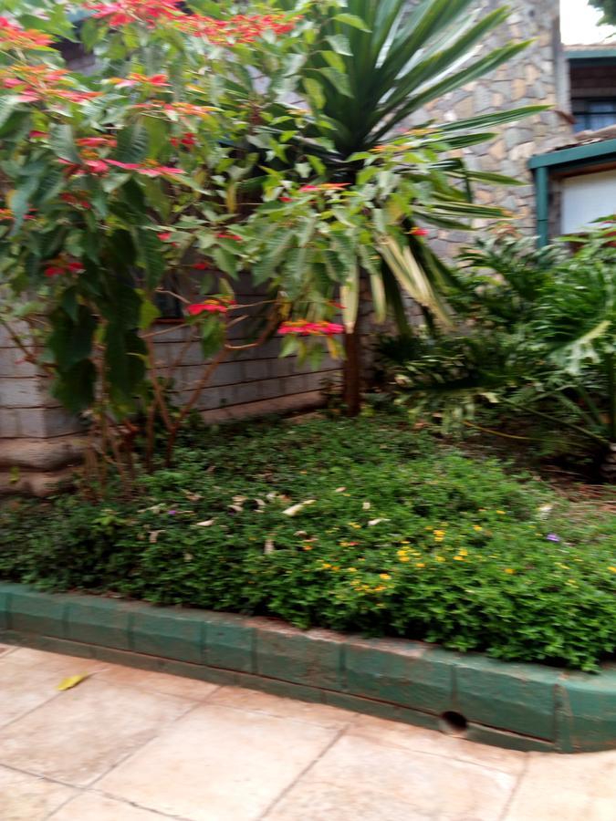 Guest house Kijiji 3*