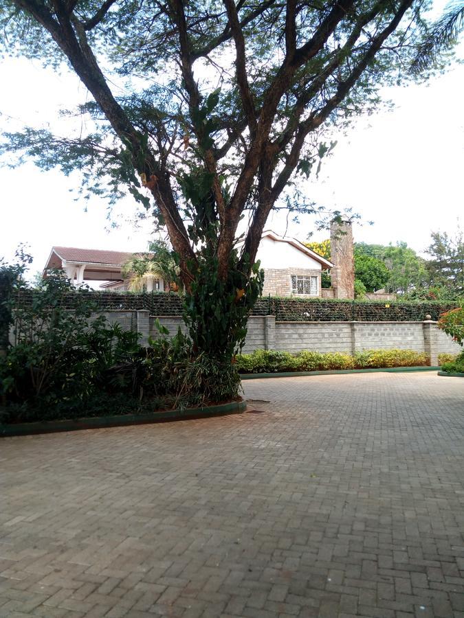 Guest house Kijiji 3*