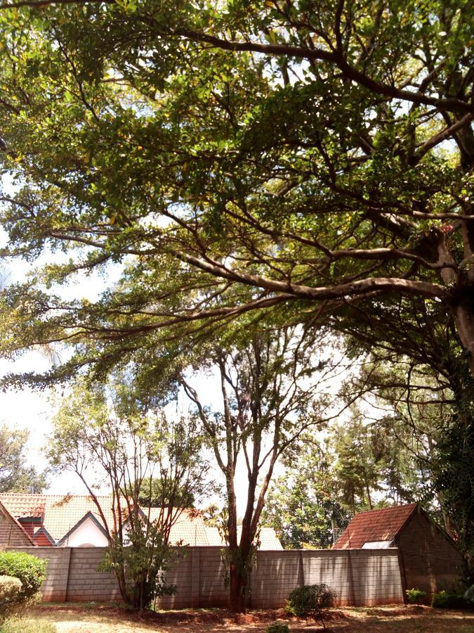 Guest house Kijiji 3*