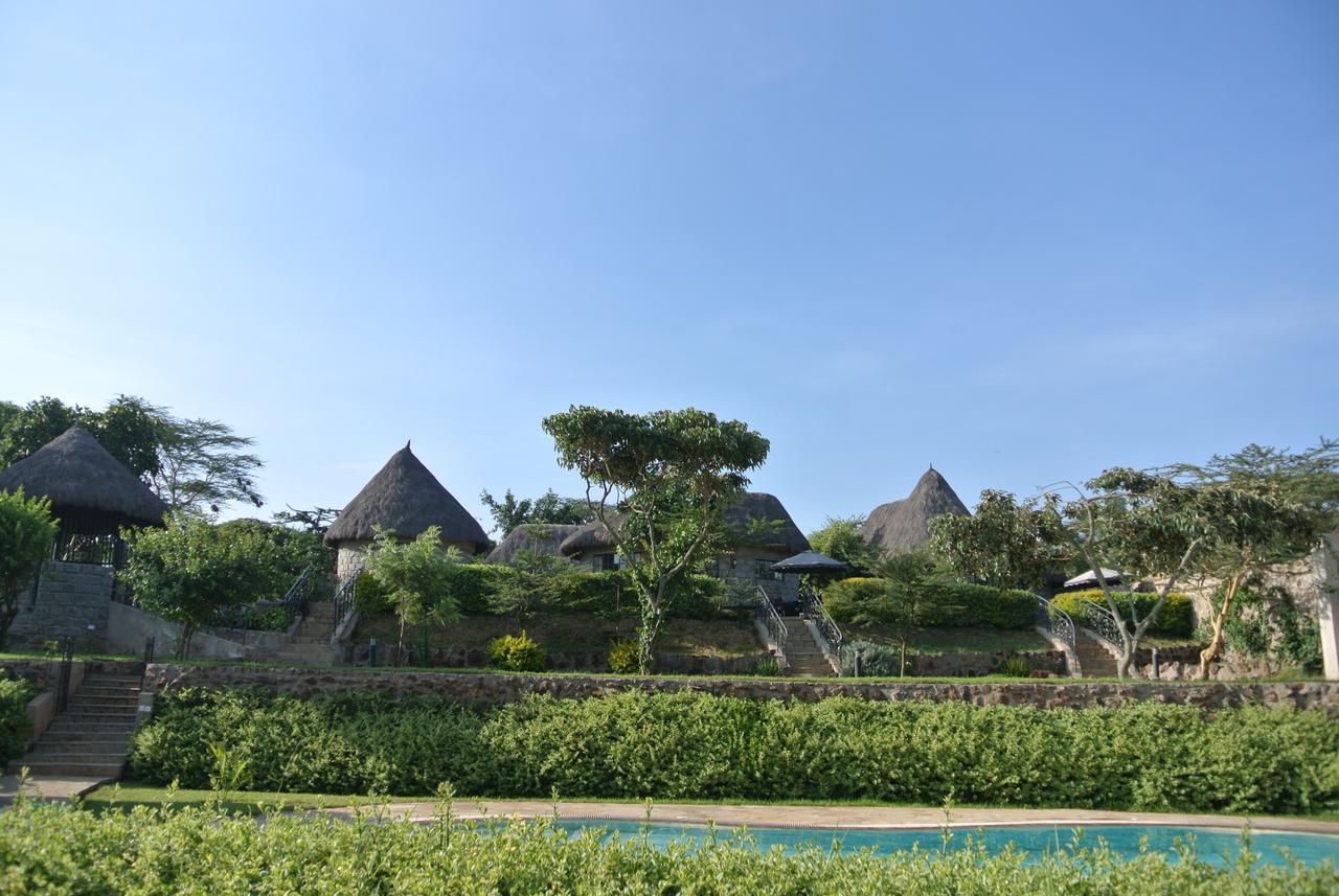 Nyati Hill Lodge Nairobi