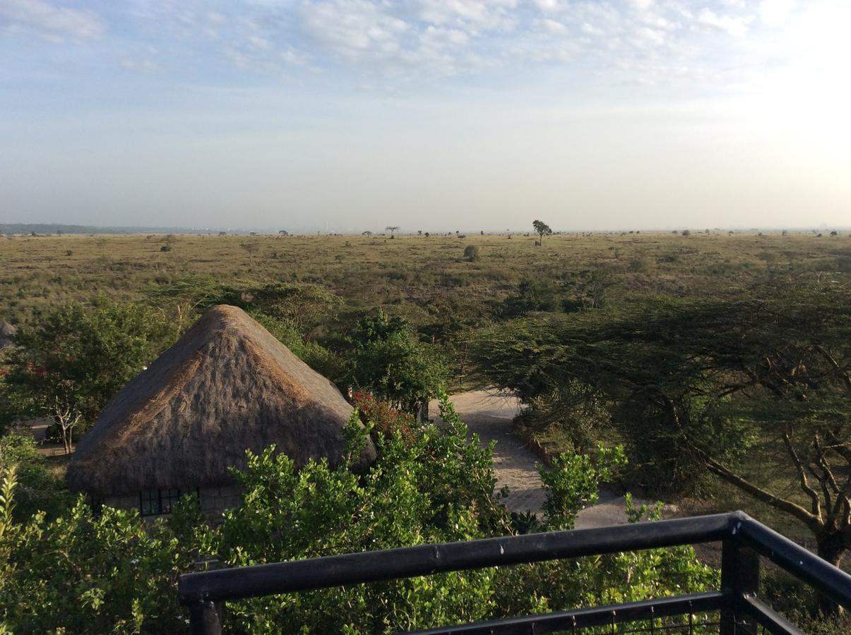 Nyati Hill Nairobi
