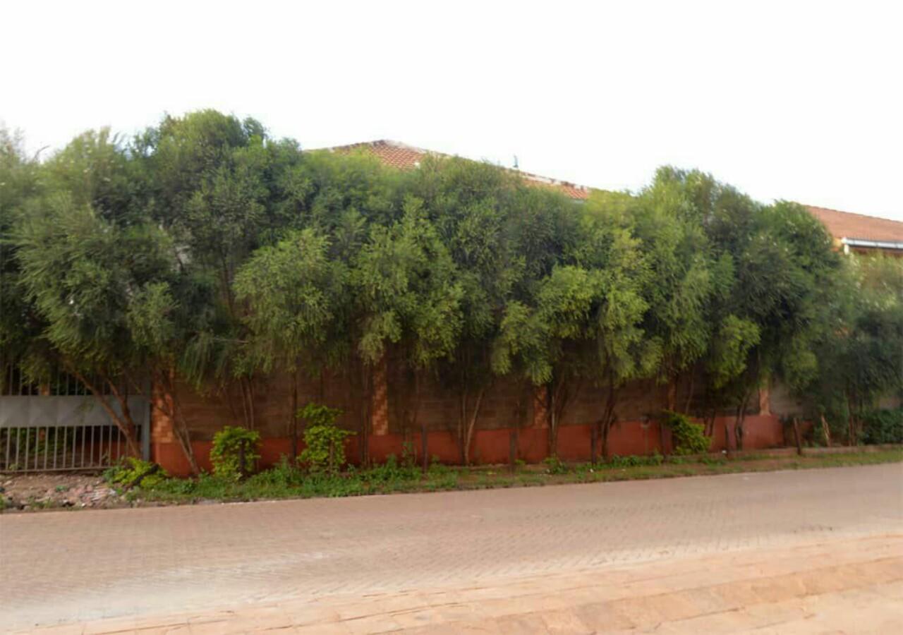 Nemadek Royal Park *