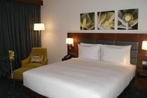Hotel Hilton Garden Airport