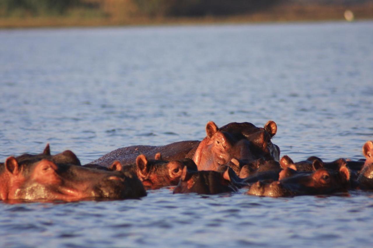Lake Naivasha Simba 5*