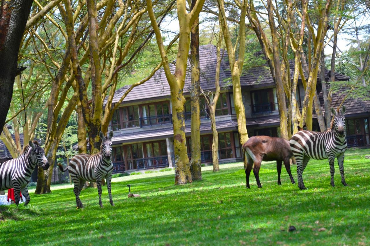 Lake Naivasha Simba Hotel Nairobi