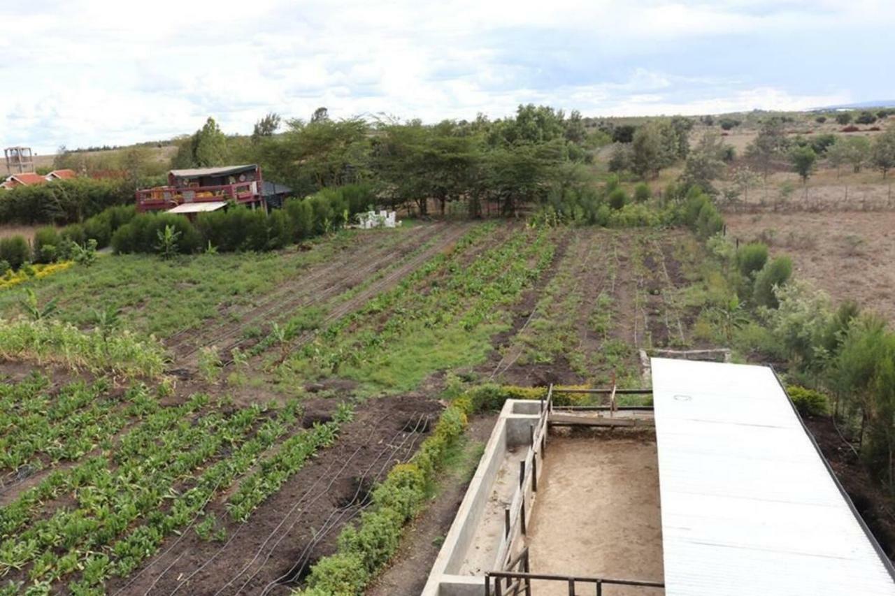 Laviniah Farmhouse Holiday home