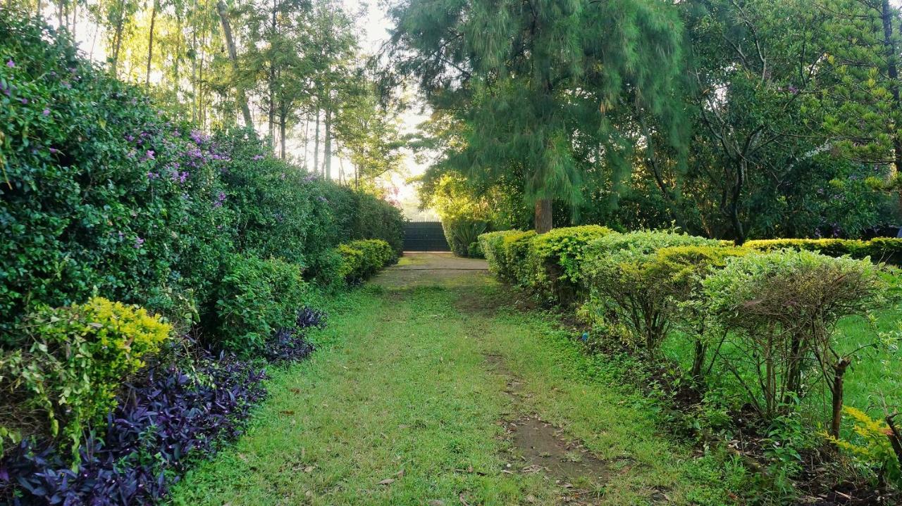 Homestay Karen Hardy Executive Homestay