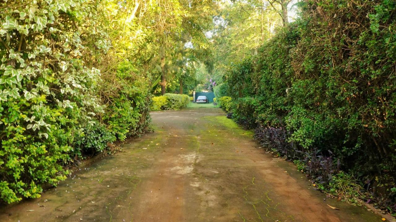 Homestay Karen Hardy Executive Homestay