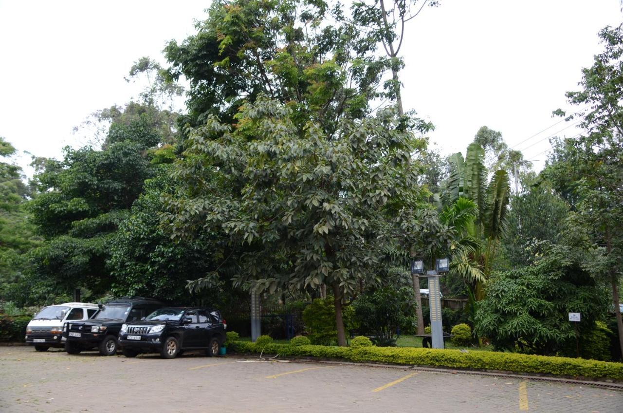 Hotel Soluxe Club International